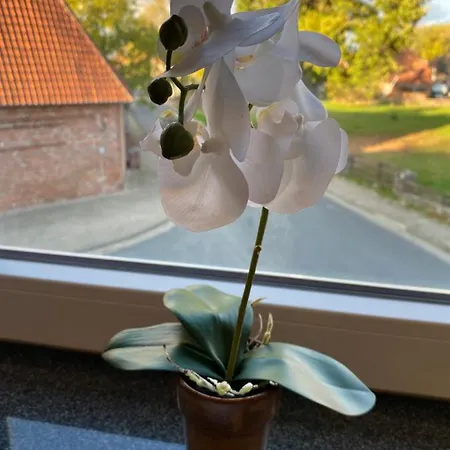 Zur Post * Uetze