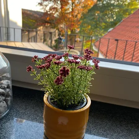 Zur Post Herberg Uetze
