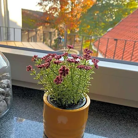 Zur Post Inn Uetze