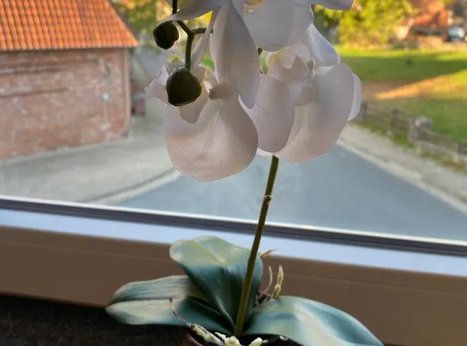 Zur Post * Uetze