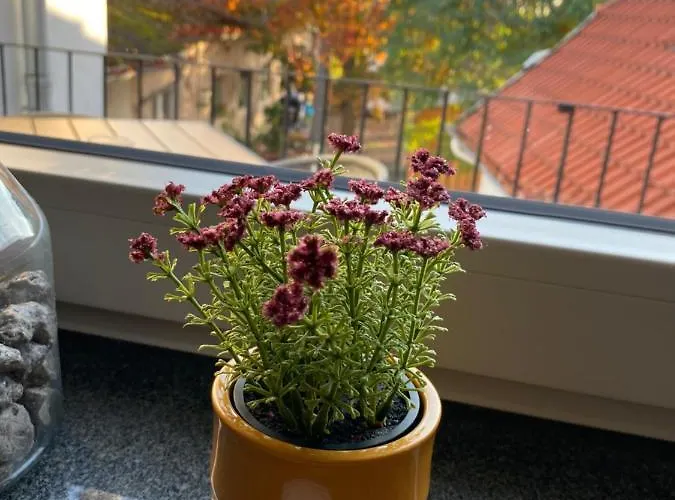 Zur Post Penzion Uetze